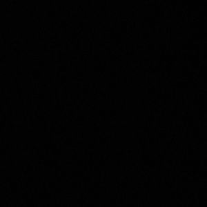 Meet your Posher, Tianna